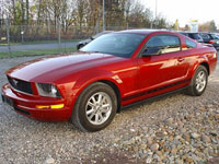 brugte Ford Mustang biler
